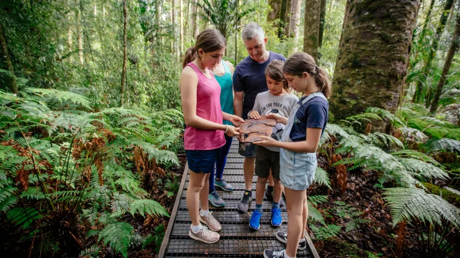 Children examining leaves with an adult on the boardwalk in Trounson Kauri Park