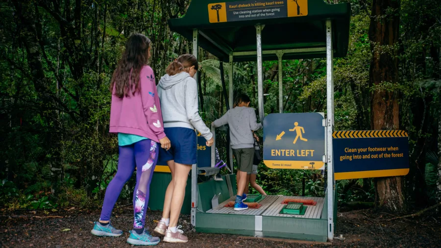 Children using a footwear cleaning station before entering Trounson Kauri Park