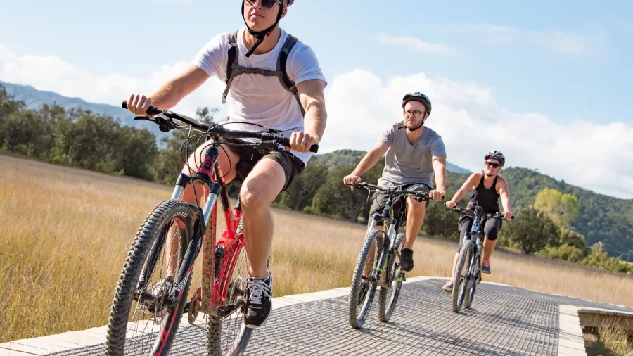 Group of cyclists riding over a boardwalk through wetlands on the Twin Coast Cycle Trail