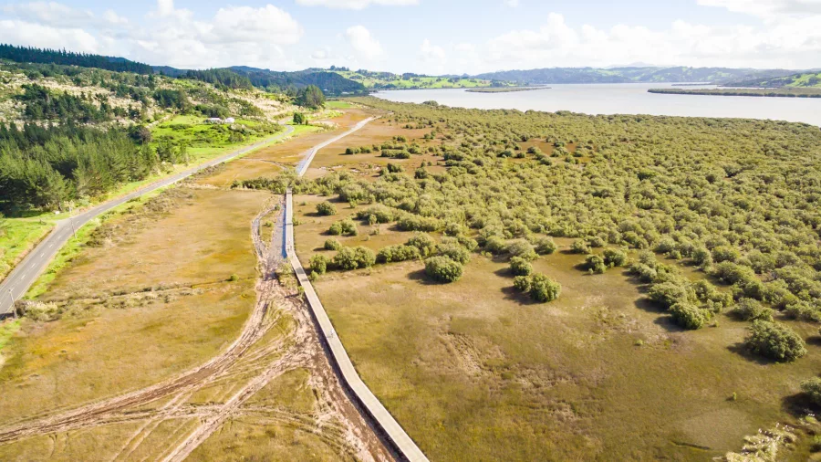 Aerial view of the Twin Coast Cycle Trail boardwalk winding through coastal wetlands