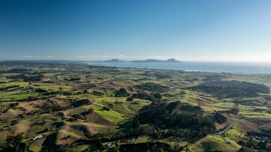 Aerial view of rolling green hills and coastline looking towards Bream Bay