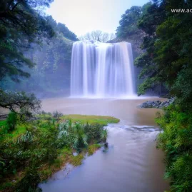 Whangārei Falls cascading into a forested pool surrounded by lush greenery