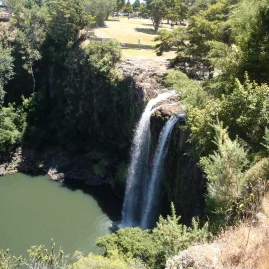 Whangārei Waterfalls surrounded by lush native bush near the Bay of Islands