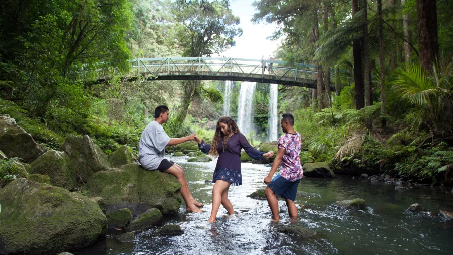 Group of friends wading through the stream below Whangārei Falls