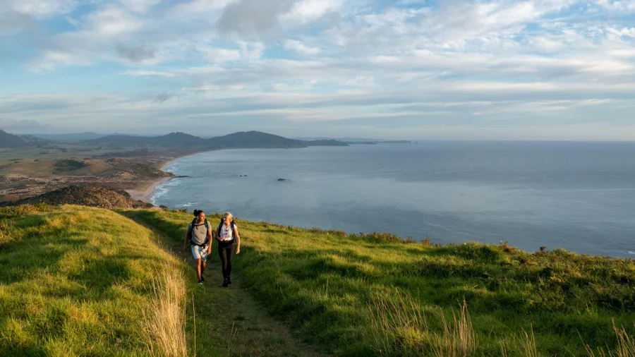 Two hikers walking a grassy ridge above the coast at Whangārei Heads near sunset