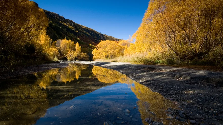 Autumn colours along the Arrow River in Arrowtown, Otago.