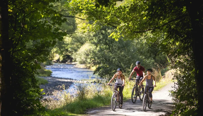 Three cyclists riding along the shaded Arrow River Trail in Arrowtown, New Zealand, on a sunny day.