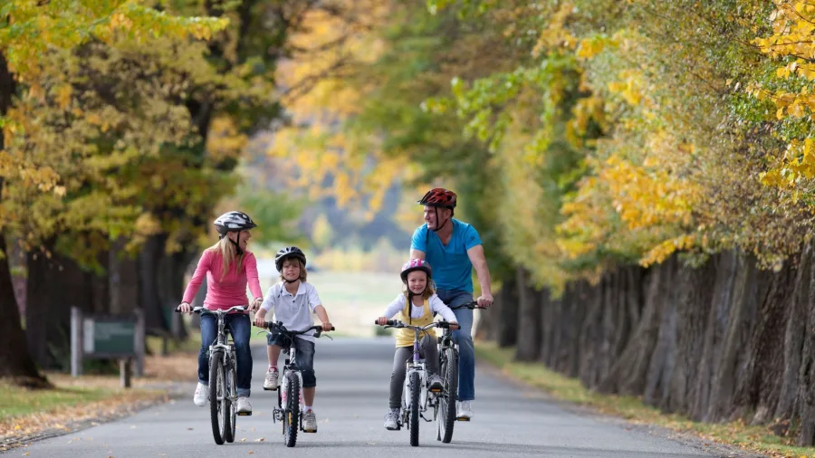 Family cycling through a tree-lined street with golden autumn leaves in Arrowtown, New Zealand.