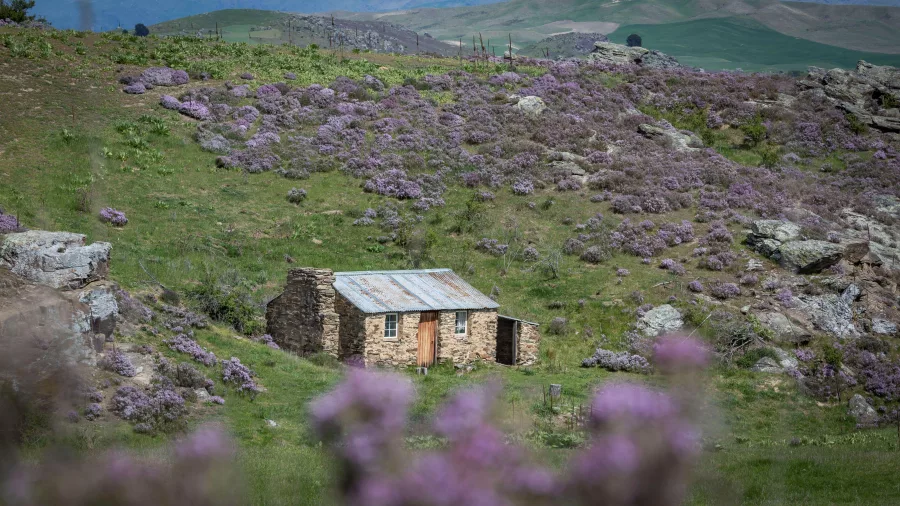 Historic stone cottage surrounded by wildflowers on Blacks Hill