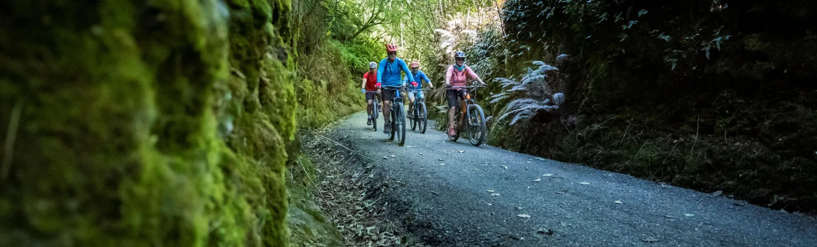 Group of cyclists riding through a shaded, moss-covered forest trail on the Clutha Gold Cycle Trail in Central Otago, New Zealand