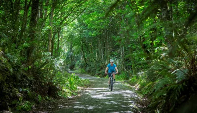 Cyclist riding through native forest on the Clutha Gold Trail at Mount Stuart in Central Otago, New Zealand