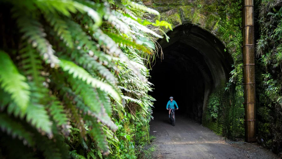 Cyclist emerging from a tunnel surrounded by lush greenery on the Clutha Gold Trail at Mount Stuart in Central Otago, New Zealand