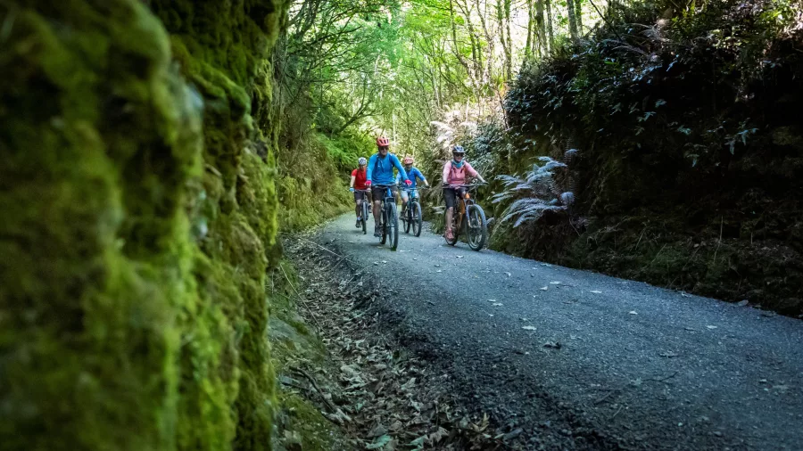 Group of cyclists riding through a shaded, moss-covered forest trail on the Clutha Gold Cycle Trail in Central Otago, New Zealand