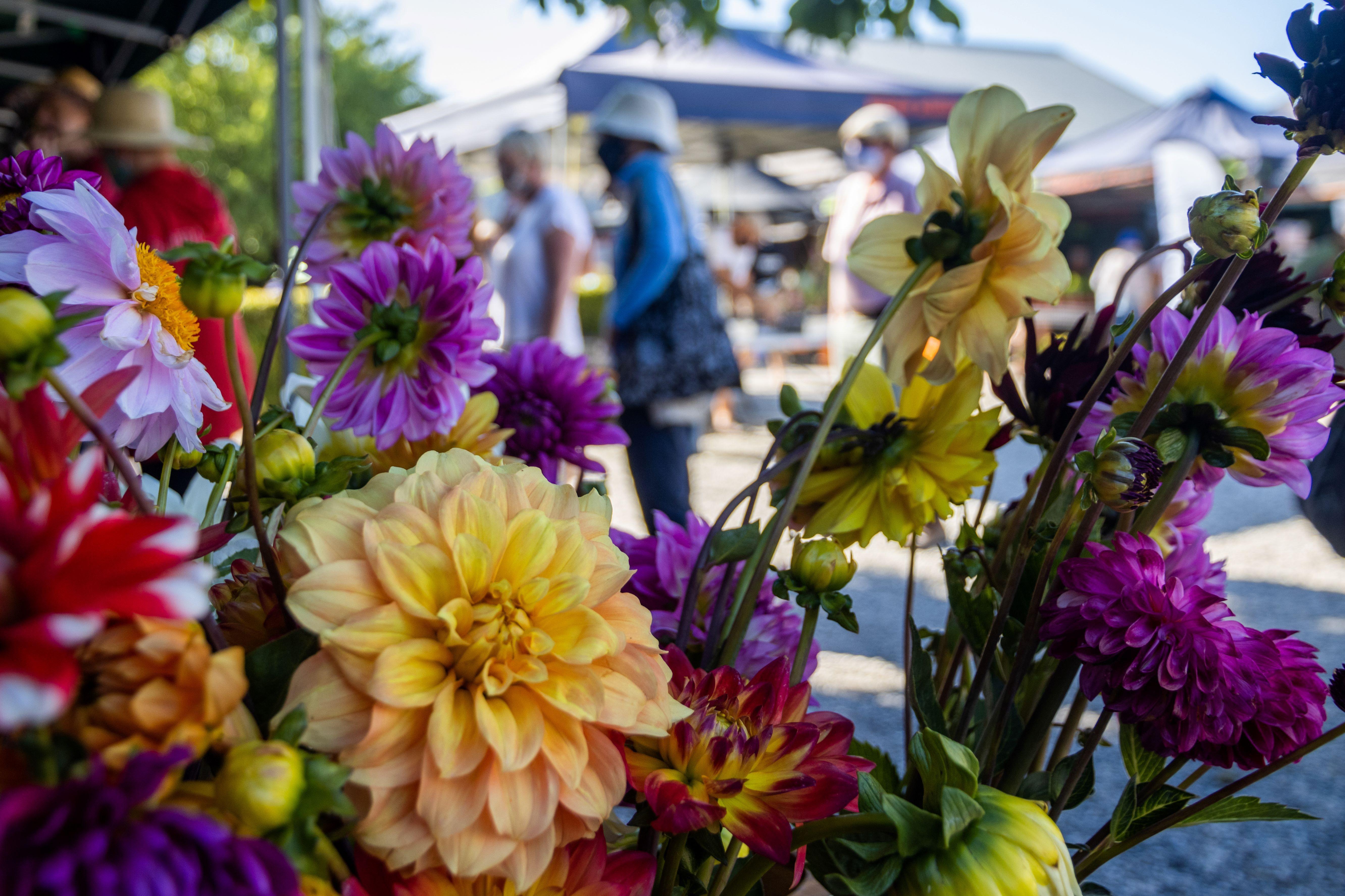Cromwell Farmers Market