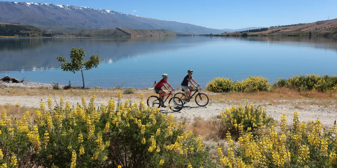 Two cyclists riding the Lake Dunstan Trail near Pisa Moorings, surrounded by spring lupins and calm lake