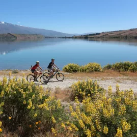 Two cyclists riding the Lake Dunstan Trail near Pisa Moorings, surrounded by spring lupins and calm lake