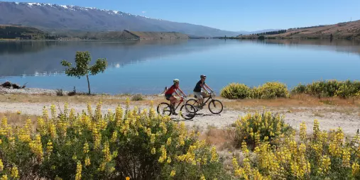 Two cyclists riding the Lake Dunstan Trail near Pisa Moorings, surrounded by spring lupins and calm lake