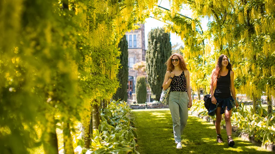 Two women walking beneath a flowering yellow archway at Larnach Castle gardens.