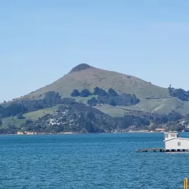 A scenic view across Otago Harbour towards Harbour Cone on the Otago Peninsula.