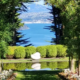 Reflective pond framed by manicured gardens at Larnach Castle, with views out to the Otago Peninsula.
