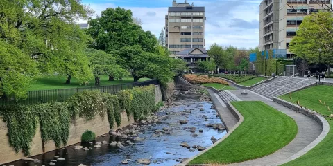 Tree-lined Leith River flowing through green park space near the University of Otago campus in Dunedin.