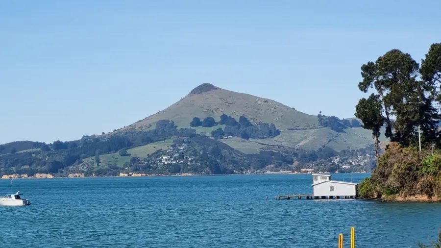 A scenic view across Otago Harbour towards Harbour Cone on the Otago Peninsula.