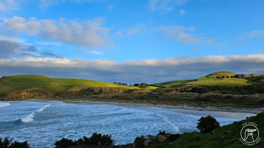 Rolling waves at the coastal sanctuary of Penguin Place on the Otago Peninsula, a haven for yellow-eyed penguins.