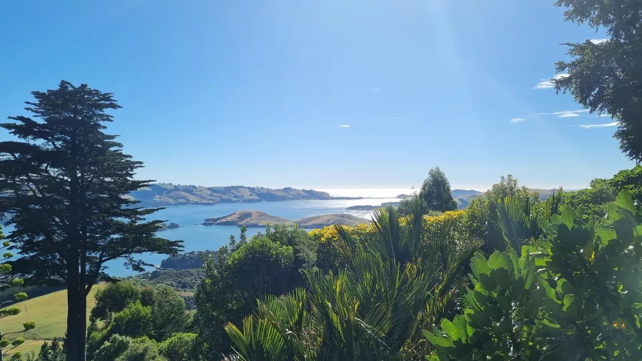 Manicured gardens at Larnach Castle with a scenic view over Dunedin Harbour on a sunny day.
