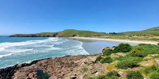 Secluded beach at Ōpērā Eco Reserve, home to rare yellow-eyed penguins on the Otago Peninsula.