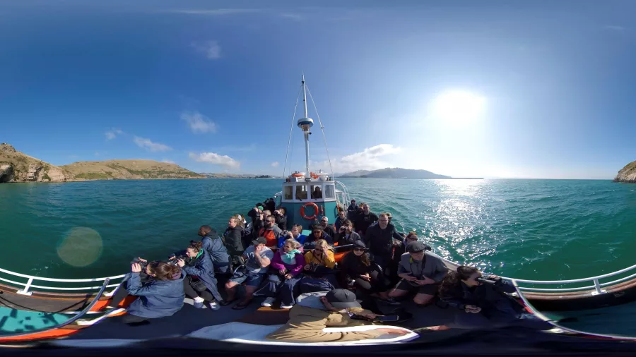 Passengers on a sightseeing cruise in Otago Harbour, Dunedin, New Zealand, with scenic coastal views on a sunny day.