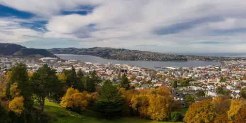 Panoramic view of Dunedin in autumn with colourful trees, cityscape and Otago Harbour in the background, South Island New Zealand