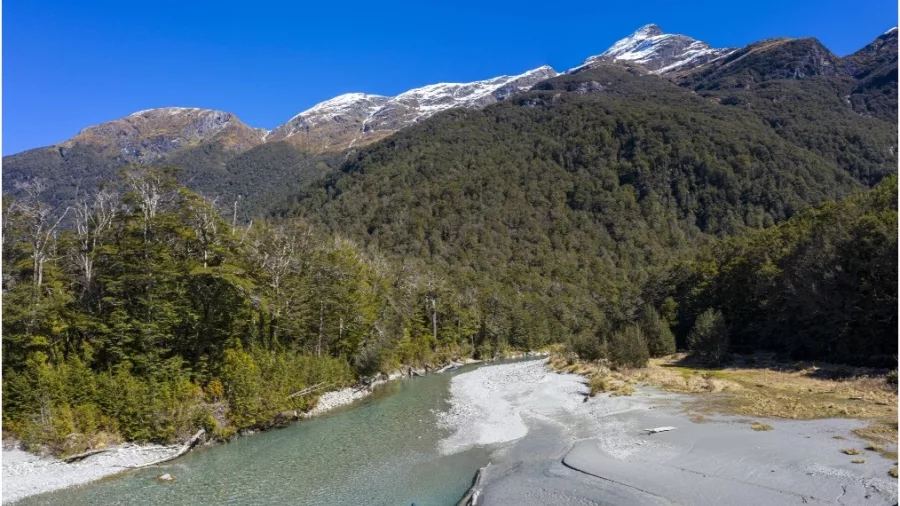 Jet boat travelling through a shallow alpine stream with dense beech forest and rugged peaks in the background.