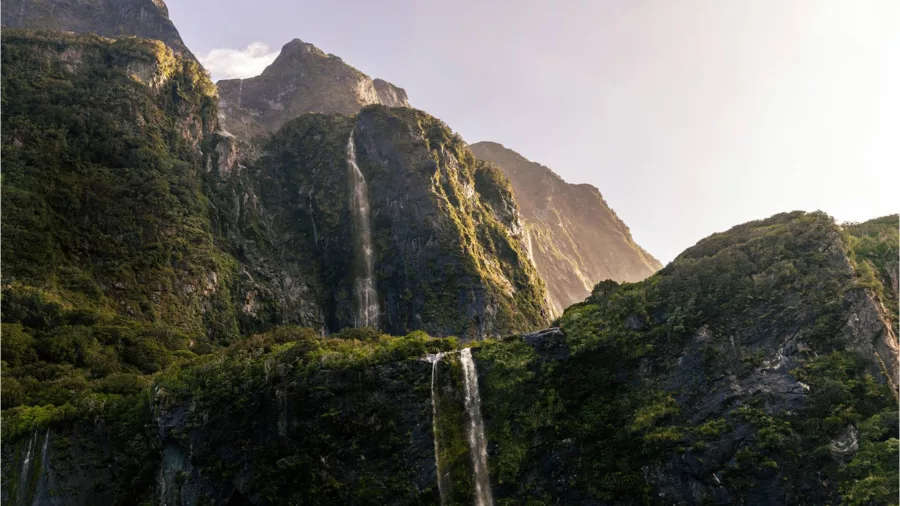 Towering waterfalls cascading down the rainforest-covered cliffs of Milford Sound