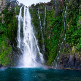 Stirling Falls cascading down lush cliffs into the fjord on a Milford Sound cruise
