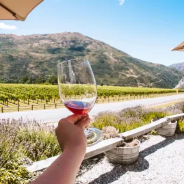 Hand holding a wine glass with red wine, overlooking the vineyards of Mt Rosa Winery in Gibbston Valley