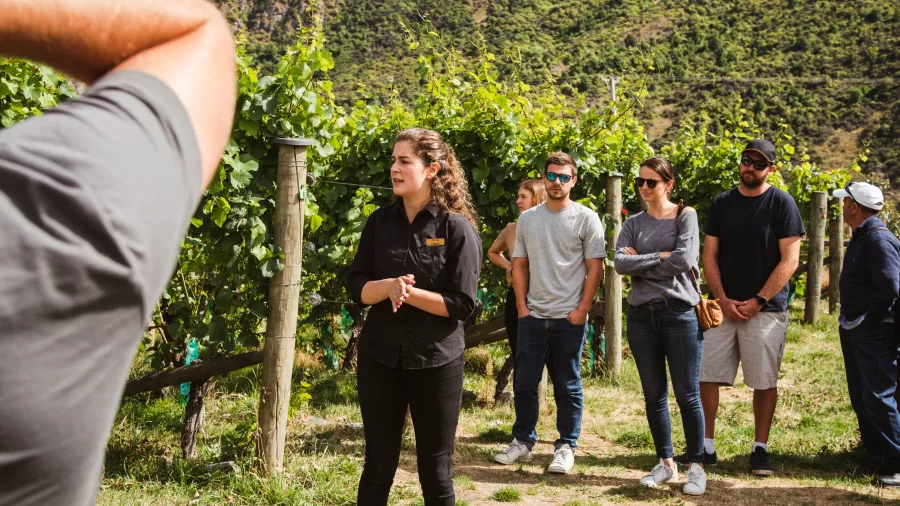 Tour guide explaining the vineyard process to a small group at Gibbston Valley near Queenstown