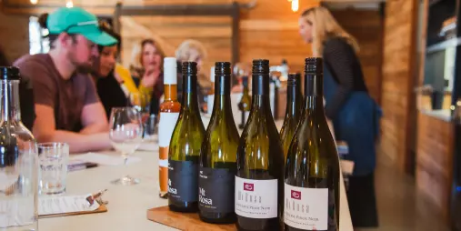 Selection of Mt Rosa wine bottles lined up for a guided tasting session in Gibbston Valley