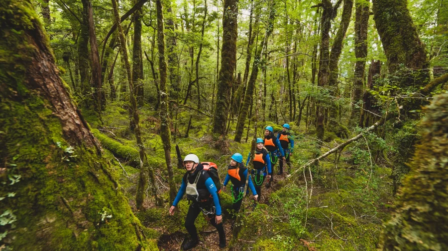 A group in wetsuits and helmets hike through mossy native forest en route to the canyon entry point.