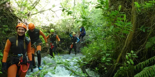 A group of canyoners wade through a stream under dense native bush in Gibbston Valley.