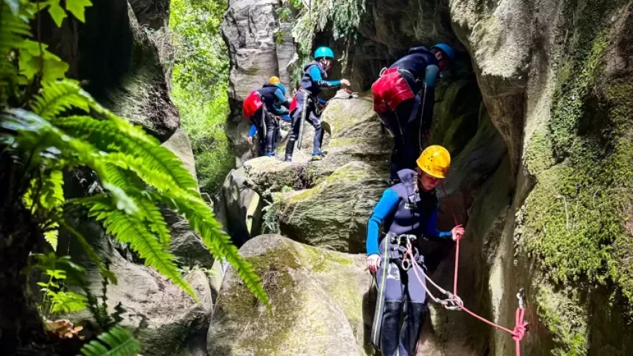 Group canyoning with guides through narrow mossy gorge