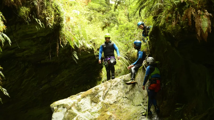 A group of canyoners prepare to jump from a large rock ledge in a mossy gorge.