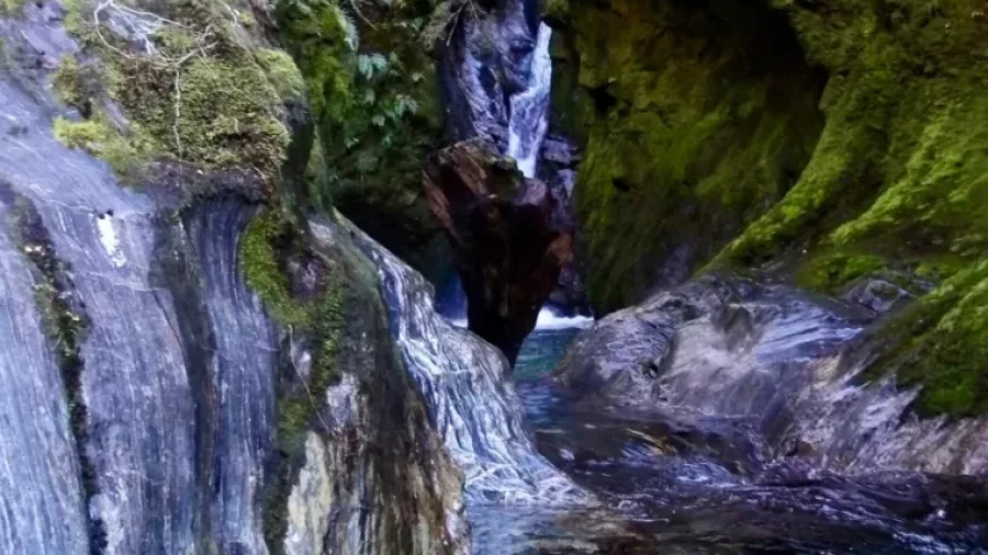 Scenic canyon pool with mossy rock walls and waterfall in Mt Aspiring