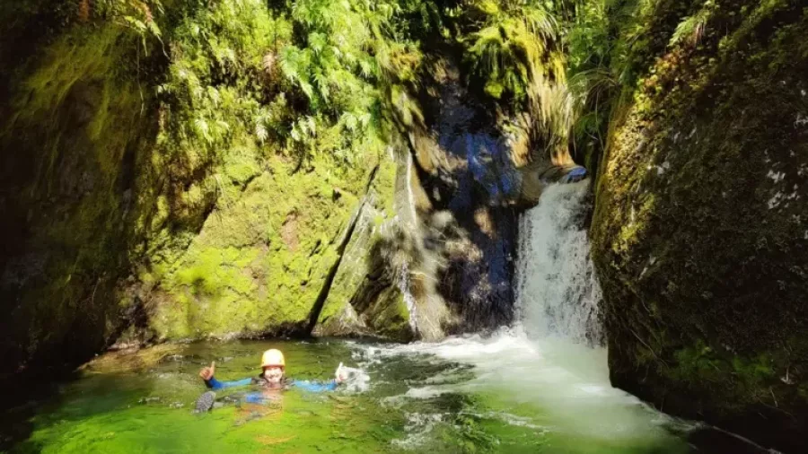 Canyoners swimming through lush green canyon pool