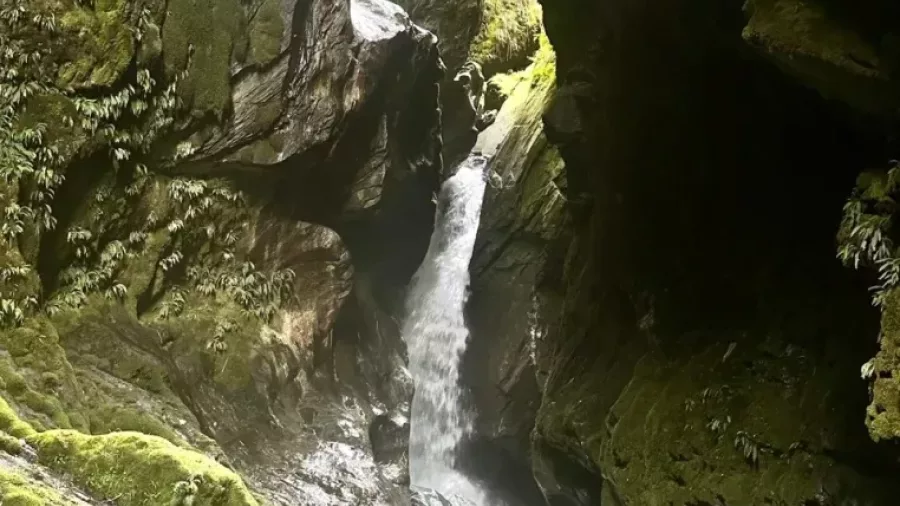 Scenic hidden waterfall in a moss-covered canyon