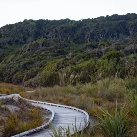 Ship Creek’s easy boardwalk trail winds through coastal forest and wetlands, making it an ideal nature stop along the West Coast.