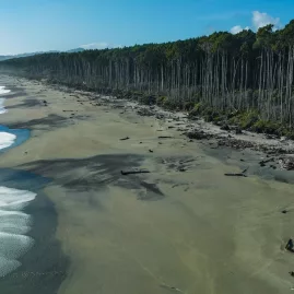 Bruce Bay with wild beach and coastal forest on New Zealand’s West Coast