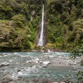 Thunder Creek Falls cascading through lush rainforest in Haast Pass on New Zealand’s West Coast