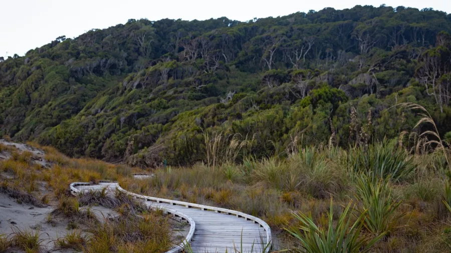 Ship Creek’s easy boardwalk trail winds through coastal forest and wetlands, making it an ideal nature stop along the West Coast.