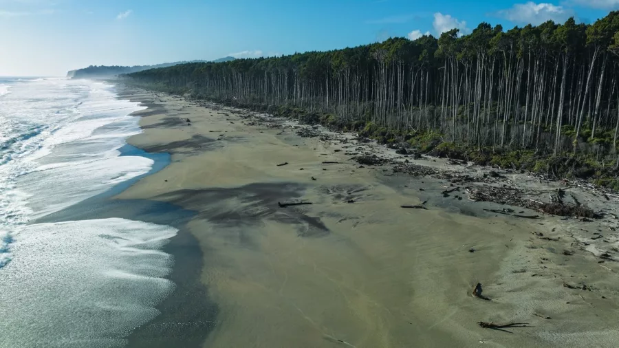 Bruce Bay with wild beach and coastal forest on New Zealand’s West Coast