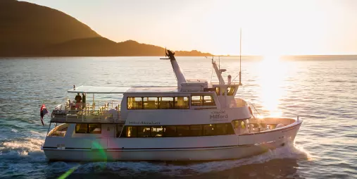 Cruise boat on Milford Sound at sunset with golden light on the water
